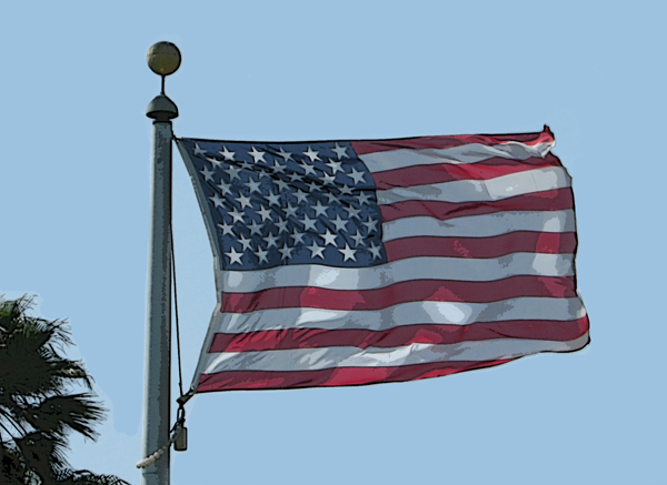 POC_FLAGcu1 POC_FLAGcu1